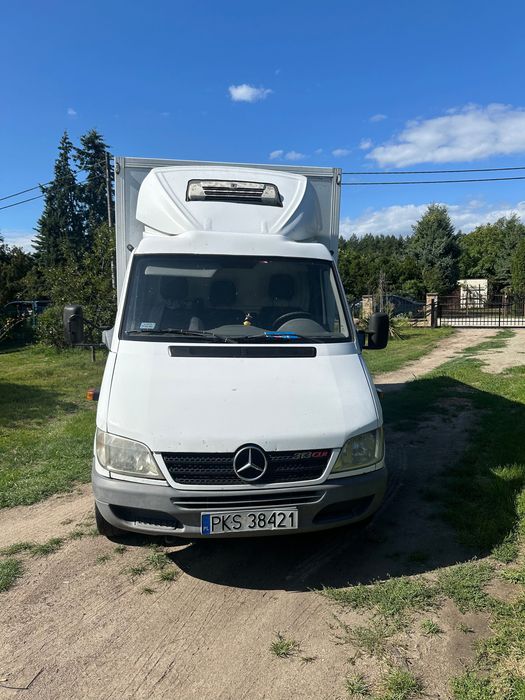 Mercedes Sprinter 313 chłodnia