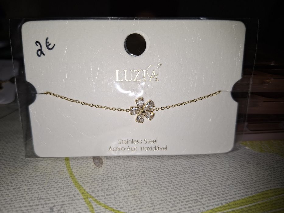 Pulseiras Pé Aço