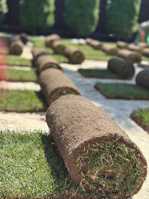 Садівник Озеленення Стрижка Топіар Полив Газон