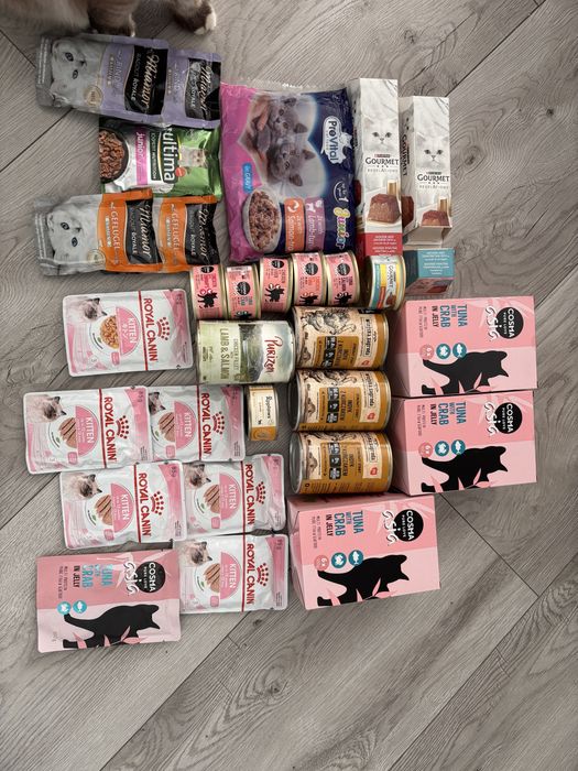 Karmy dla kota rozne