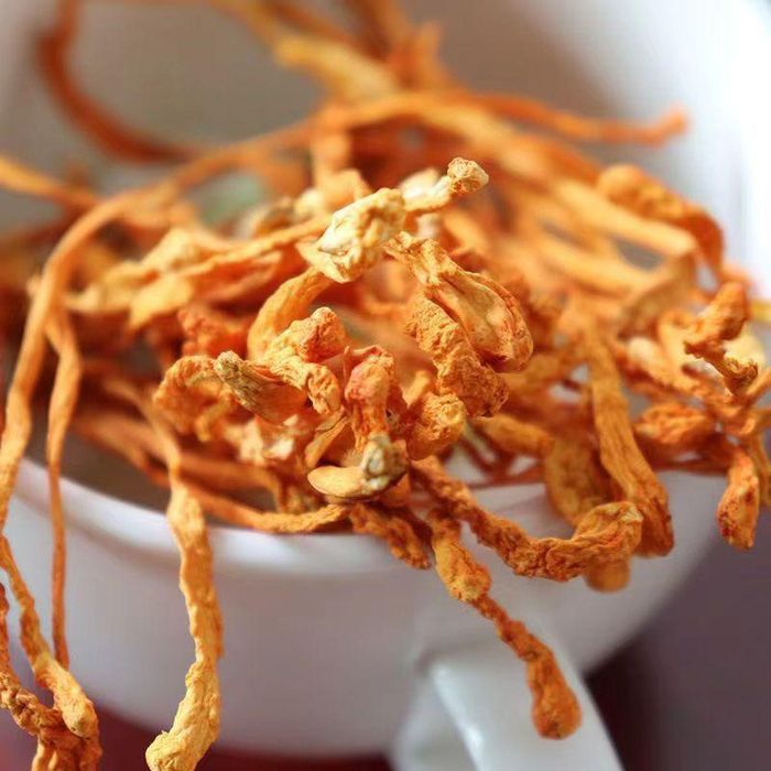 Кордицепс найкращої якості