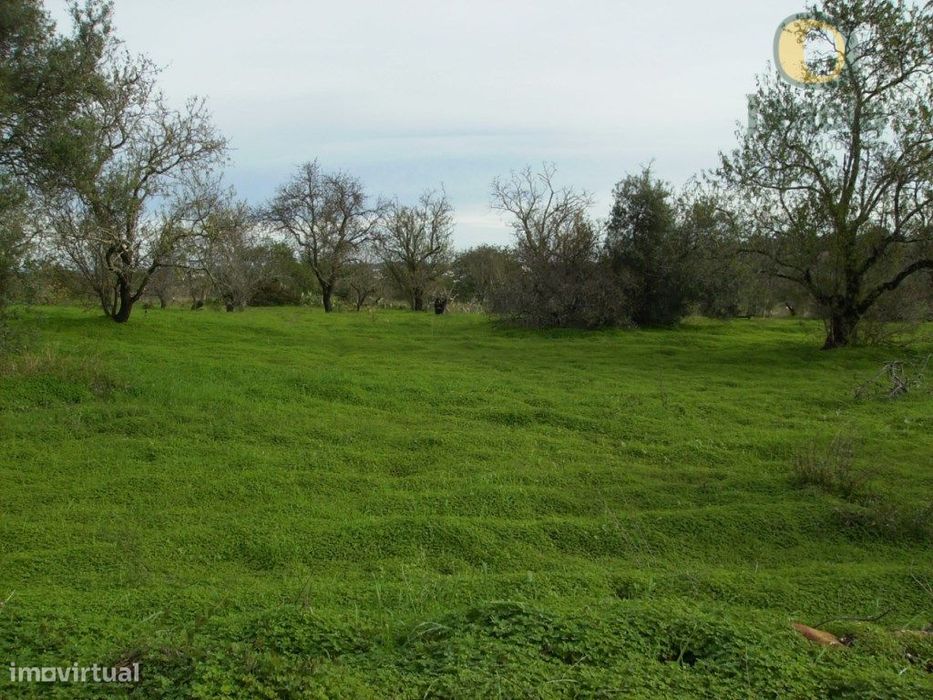 Lote de 2 terrenos com 8560 m2