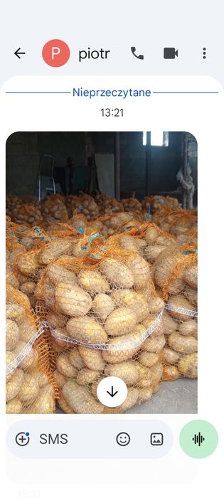 Ziemniaki Jgnacy i Irga