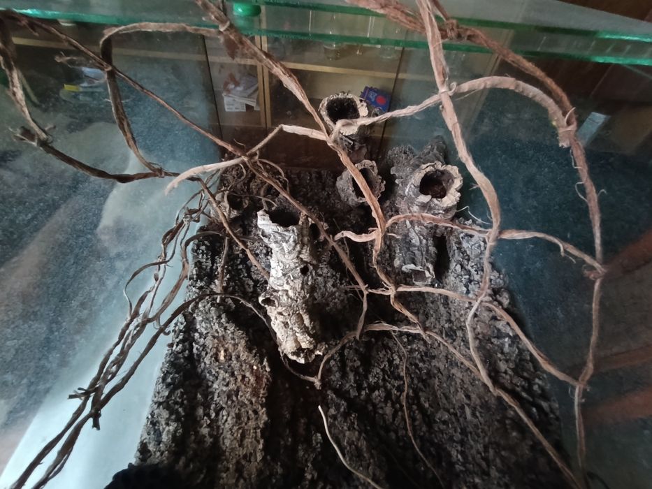 Terrarium dla węża 158 litrów