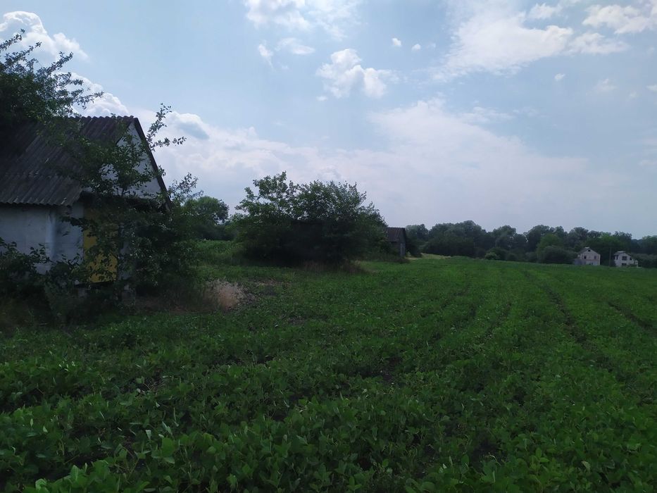 Продам земельну ділянку.