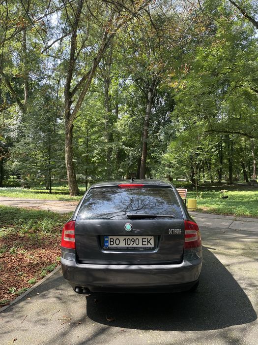 Skoda Octavia A5 2007 2.0 дизель