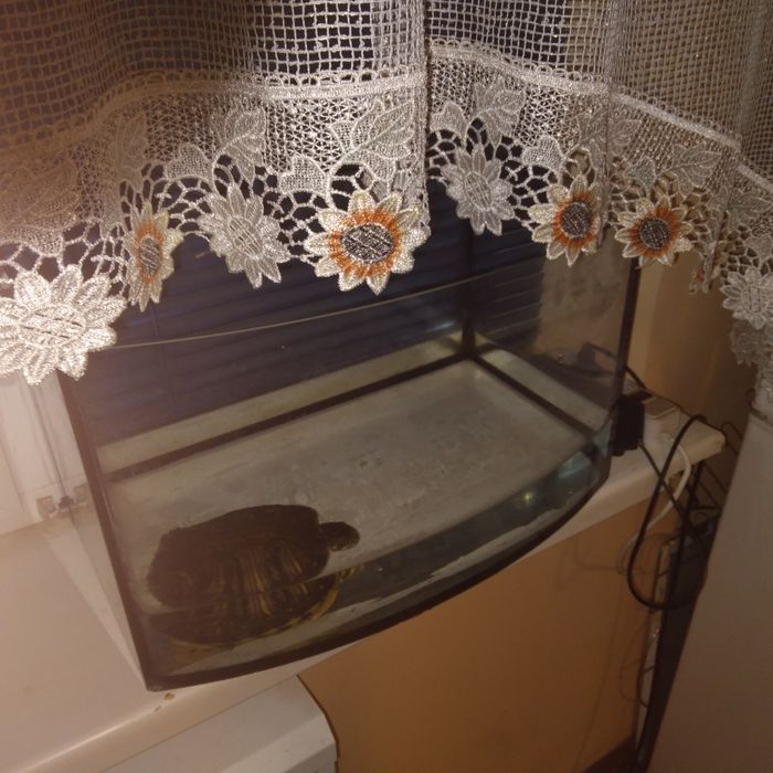 Акваріум ємність 40 літрів