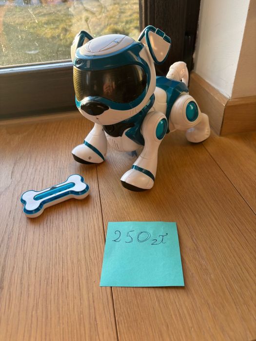 Piesek teksta robopiesek
