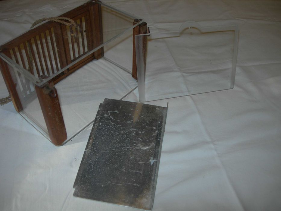 Gaiola de chamariz ou de cantar.