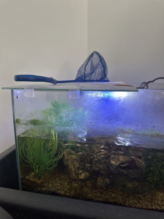 Aquario 40x23 cm