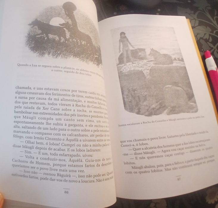 O Livro da Selva de Rudyard Kipling