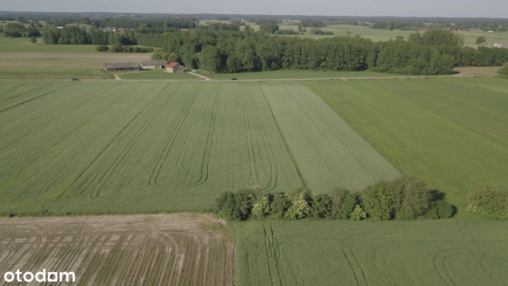 Działka, Łubianka