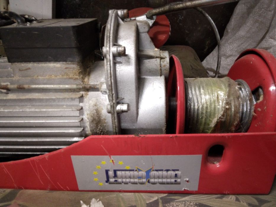 Mam do zaoferowania króliki nowozelandzkie czerwone jak i miniaturki