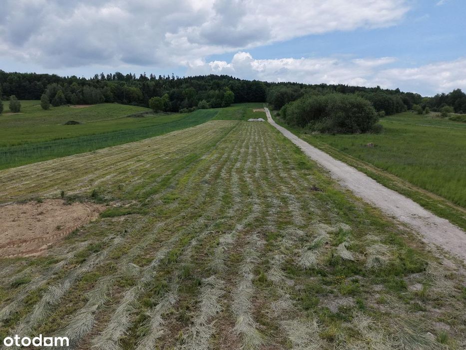 Działka z warunkami zabudowy - Posłowice