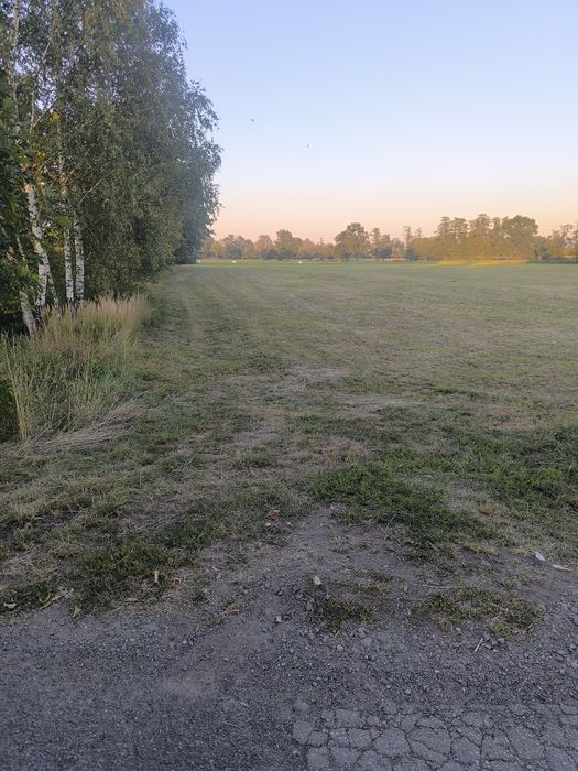 Sprzedam działkę orną/ łąkę