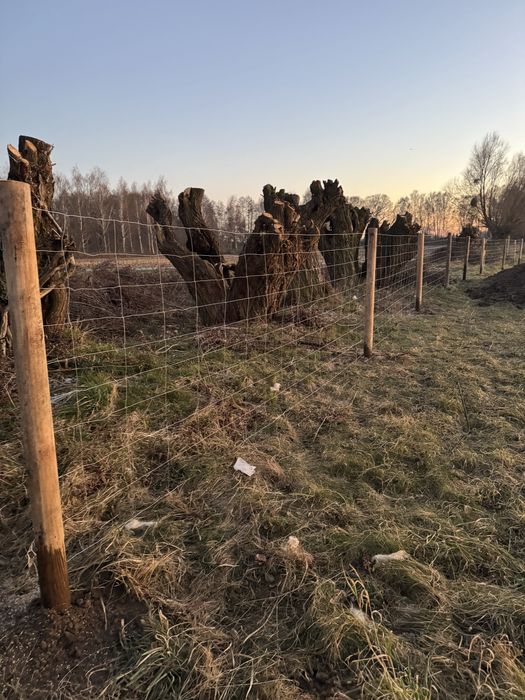 Ogrodzenia Budowlane Tymczasowe - Siatka leśna