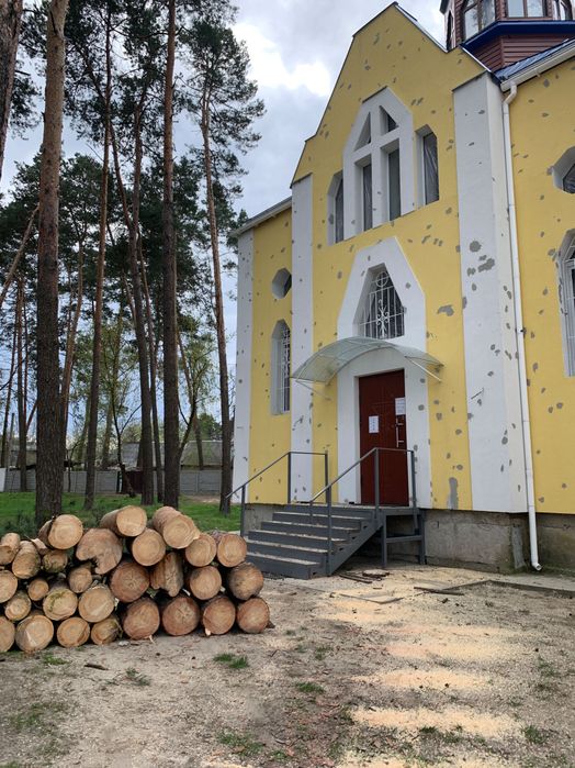 Спилить дерево обрезка дерева кронирование арборист альпинист аварийное дерево срезать дерево дрова