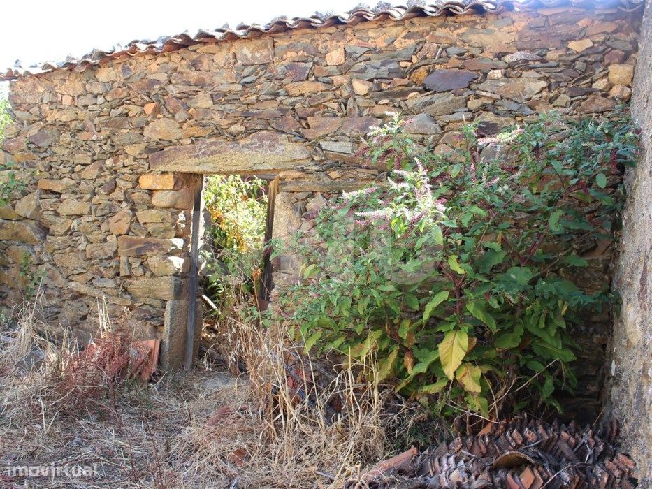 Terreno Urbano com Ruina