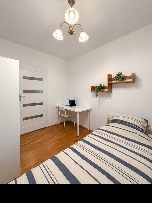 Rzeszów, ul. Świadka Witolda – Uniwersytet Rzeszowski / Millenium Hall 5 min pieszo