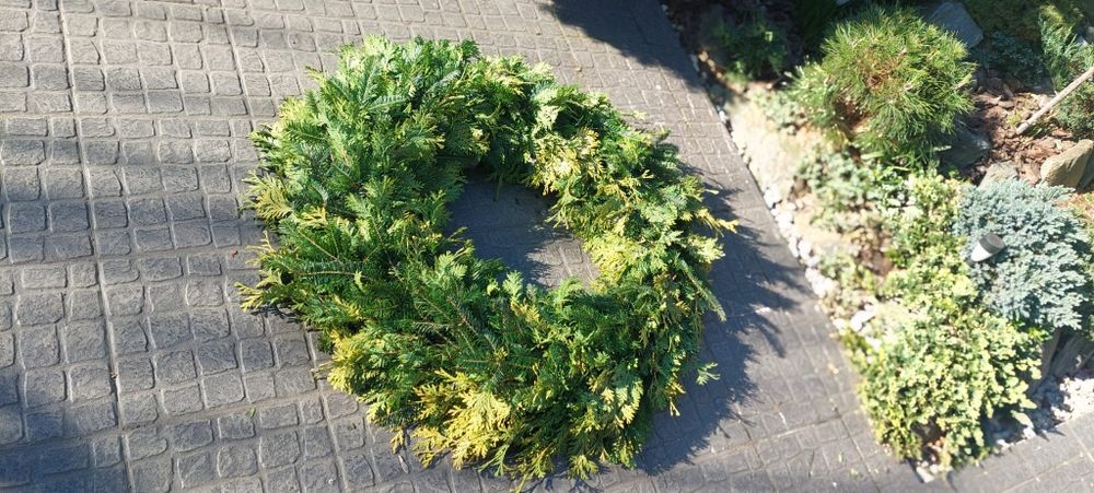 Wianek, wieniec, podkład słomiany z żywym, świeżym igliwiem 100cm
