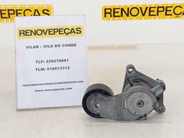 Tensor / esticador correia alternador PEUGEOT 206 (2A/C)