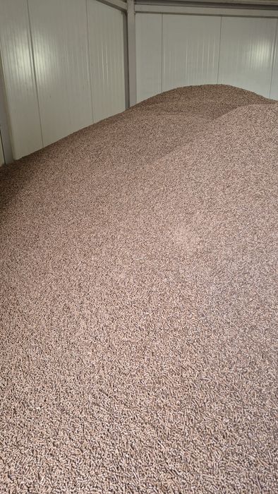 Pellet A1 z czystej trociny tartacznej