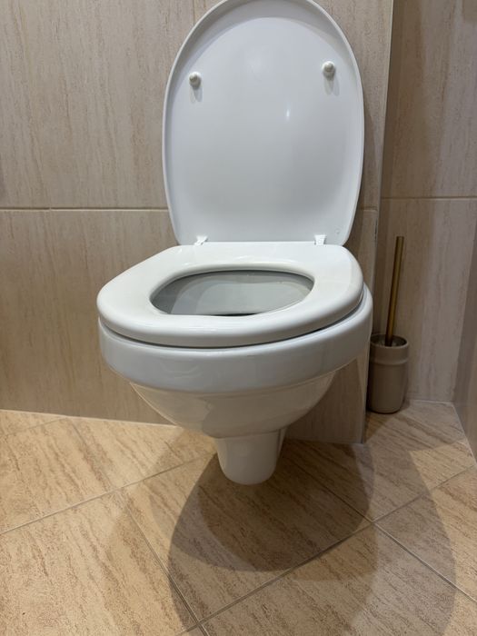 Wc, muszla klozetowa, deska.