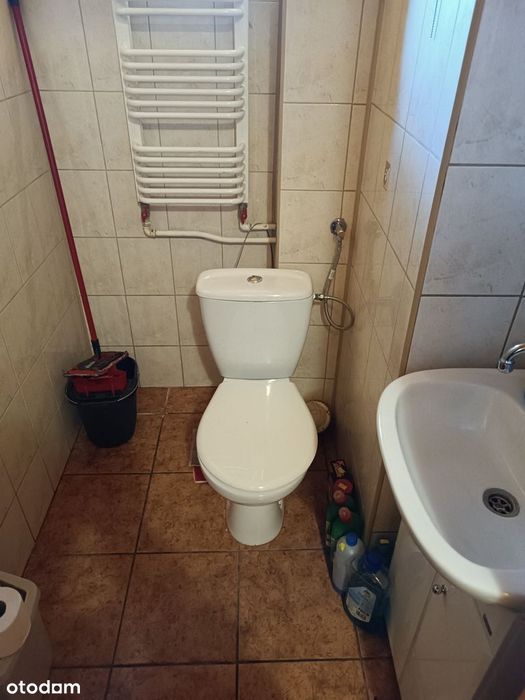 Dom, Bobrowniki