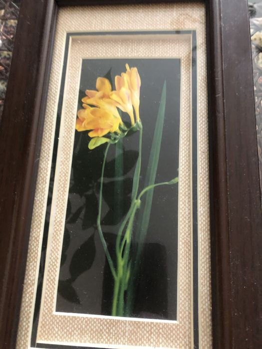 Kwiaty obrazy w szkle cena 35 za 3 sztuki