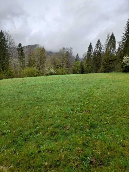 Ділянка 38 сот в заповідній зоні Коростів, Вид на гори, Електрика