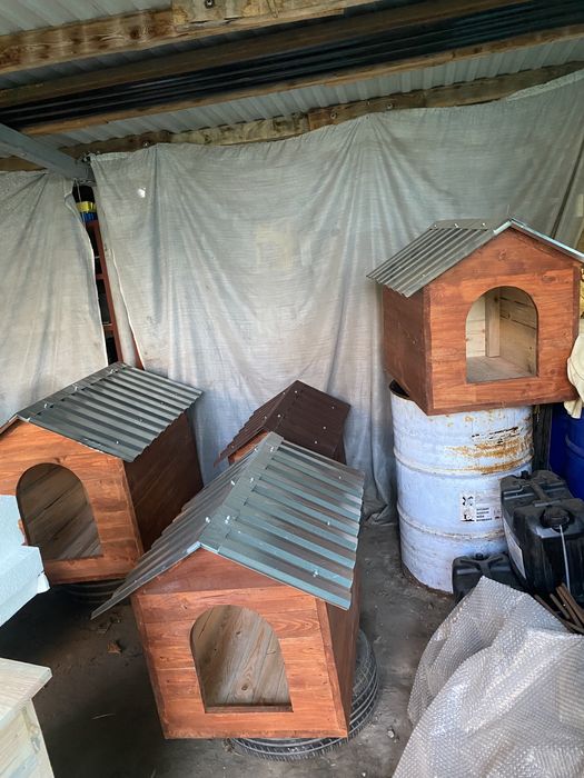 Буда для собак! В НАЯВНОСТІ.