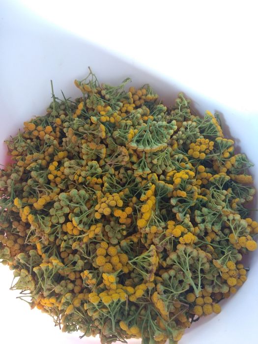 Гидролаты розы, мяты и... сезонные растения