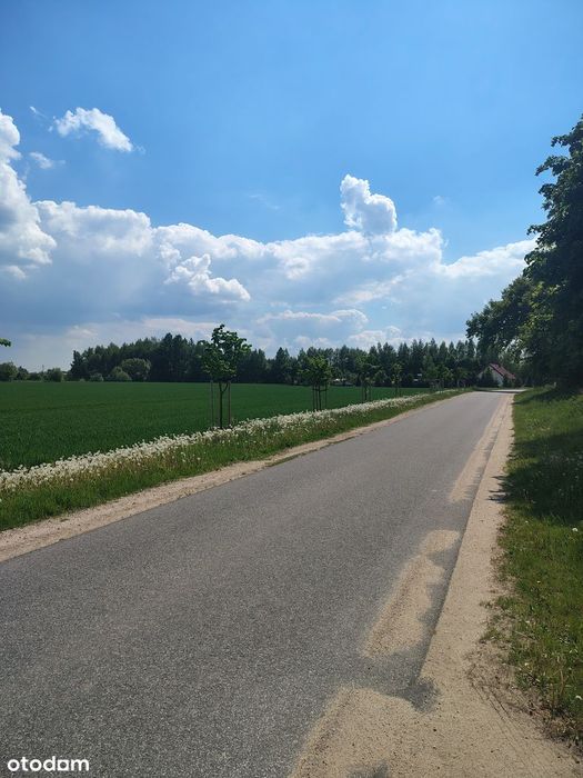 Działka, Stary Dwór