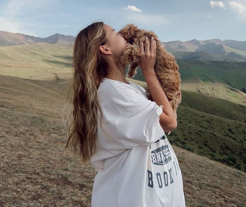 Мікро міні та стандарт Мальтіпу