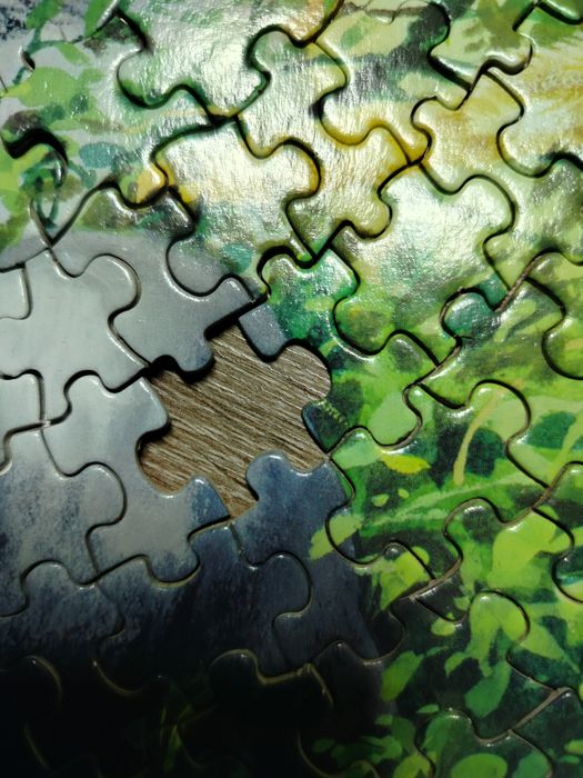 Puzzle okrągłe zwierzęta 500