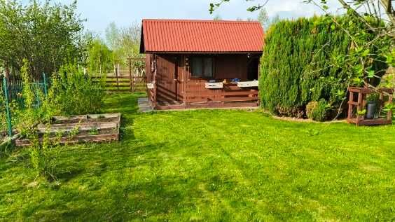 Sprzedam Działka ROD ul. Jarowa Rzeszów Zwięczyca