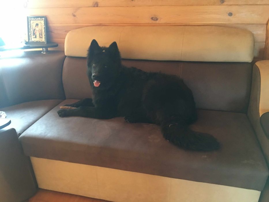 Гарний парубок Німець шукає собі дівчінку для шаленного коханняо