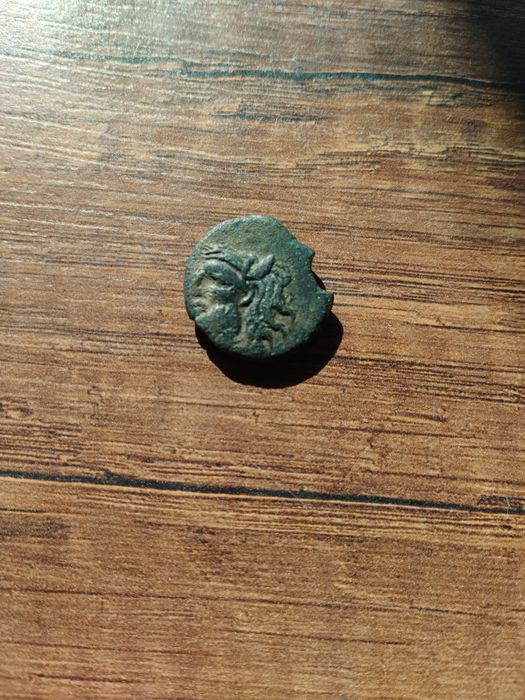 Античная монета Ольвии Борисфен.