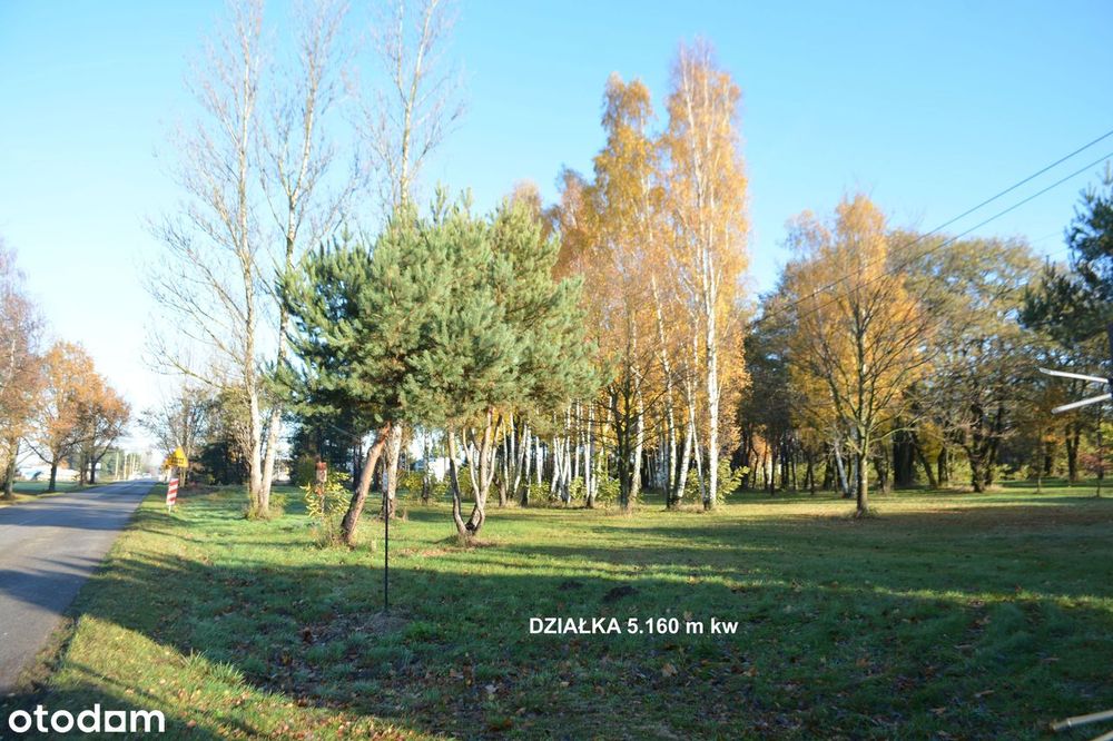 Działka 5160 m kw przezn. pod zabudowę handlowo - usługowo - prod. - View 3