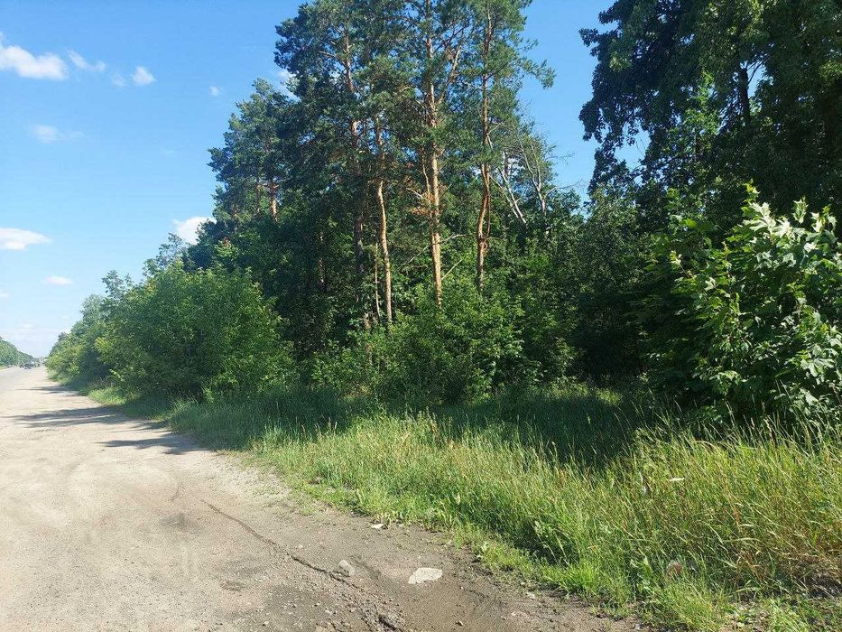 Фасадна ділянка на початку Іванівки (26116928)