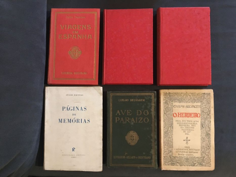 Obras de Júlio Dantas / Carlos Selvagem