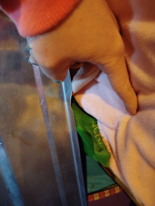 Zlewozmywak dwukomorowy, ociekacz i bateria