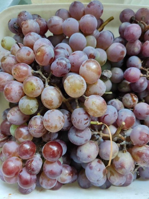 Продам гараж на ул. Паустовского с  инструментами!