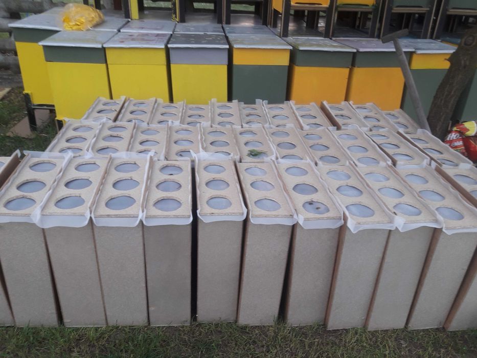 Odkłady Pszczele Wielkopolskie 2026