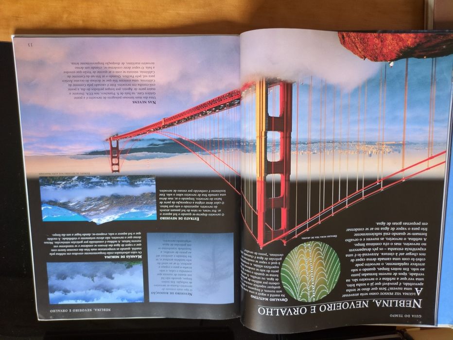 Guia do Tempo de Michael Allaby