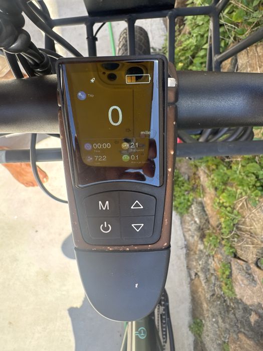Vendo Fat Bike Fiido T1