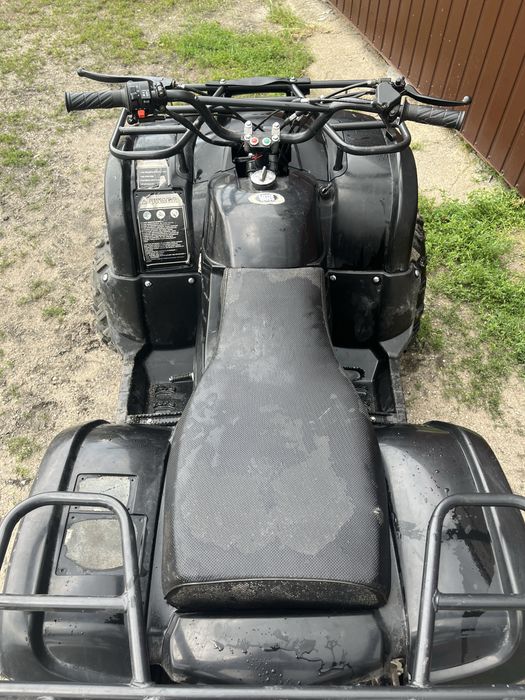 Quad bashan 250