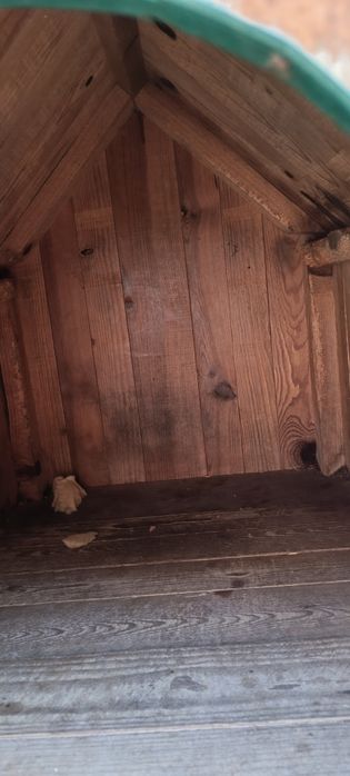 Casota de cão -madeira