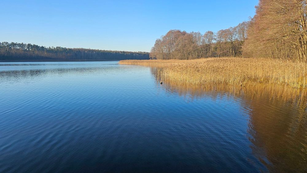 Dołgie - Dom nad jeziorem
