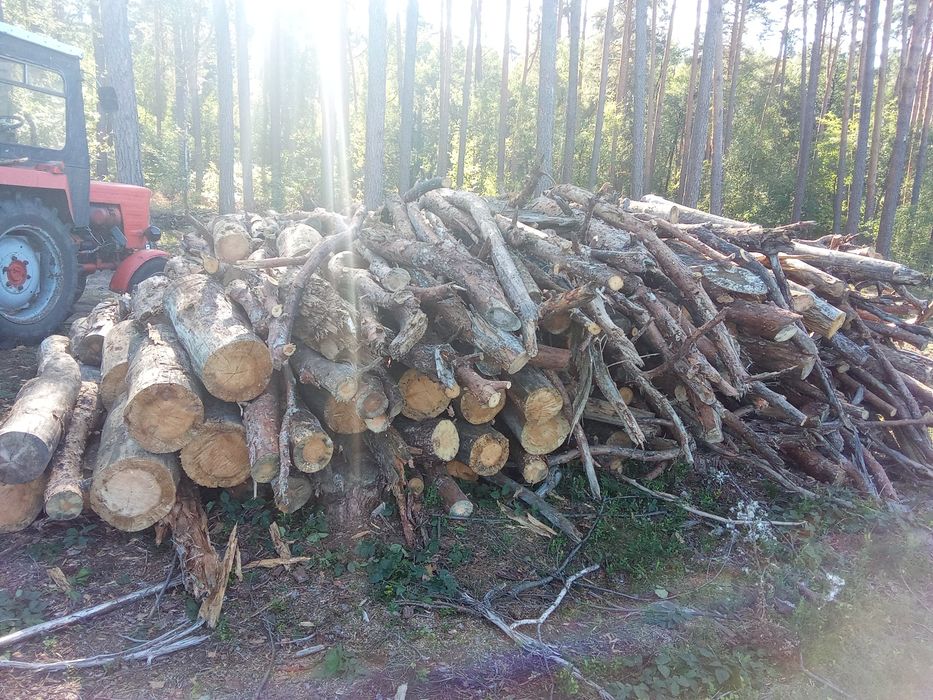 Drzewo opałowe suche